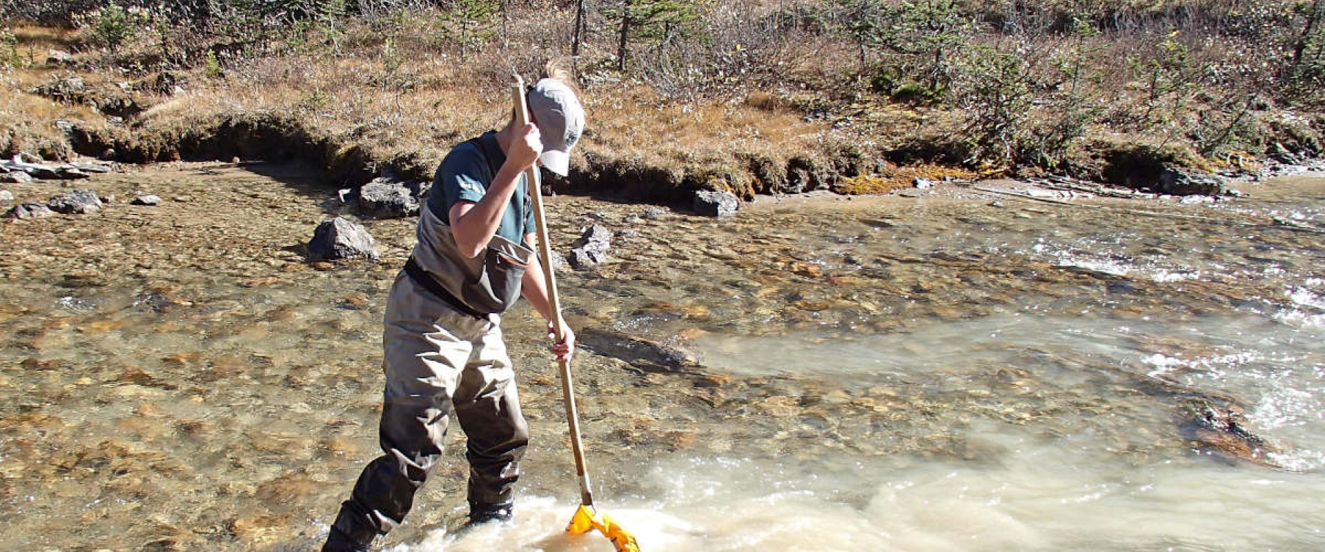Parks Canada staff using a kick net to sample invertebrates in the Kicking Horse River.