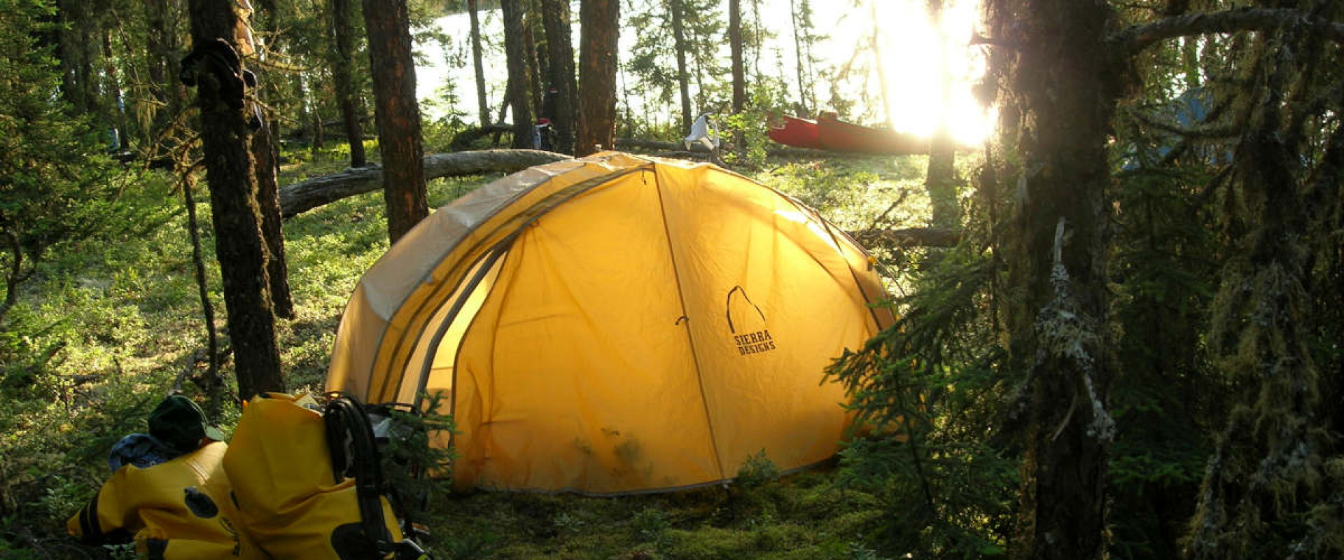 A yellow tent and supplies sit on the forested shore of the Clearwater river.