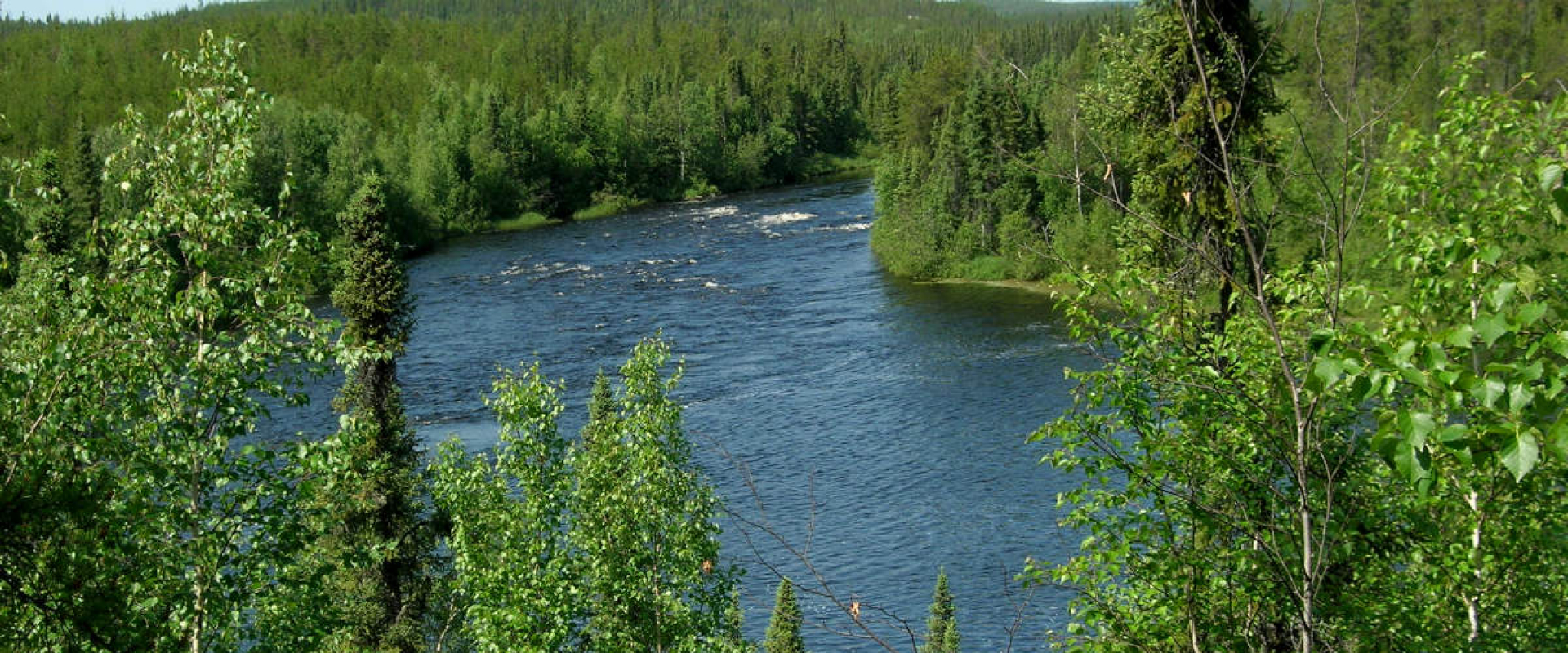 A scenic view of the Clearwater River surrounded by trees.