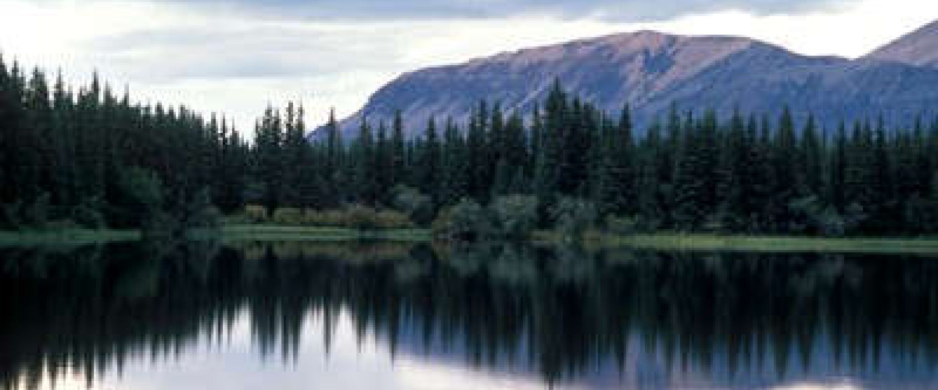 Pine trees are reflected onto the still waters of Margaret Lake.