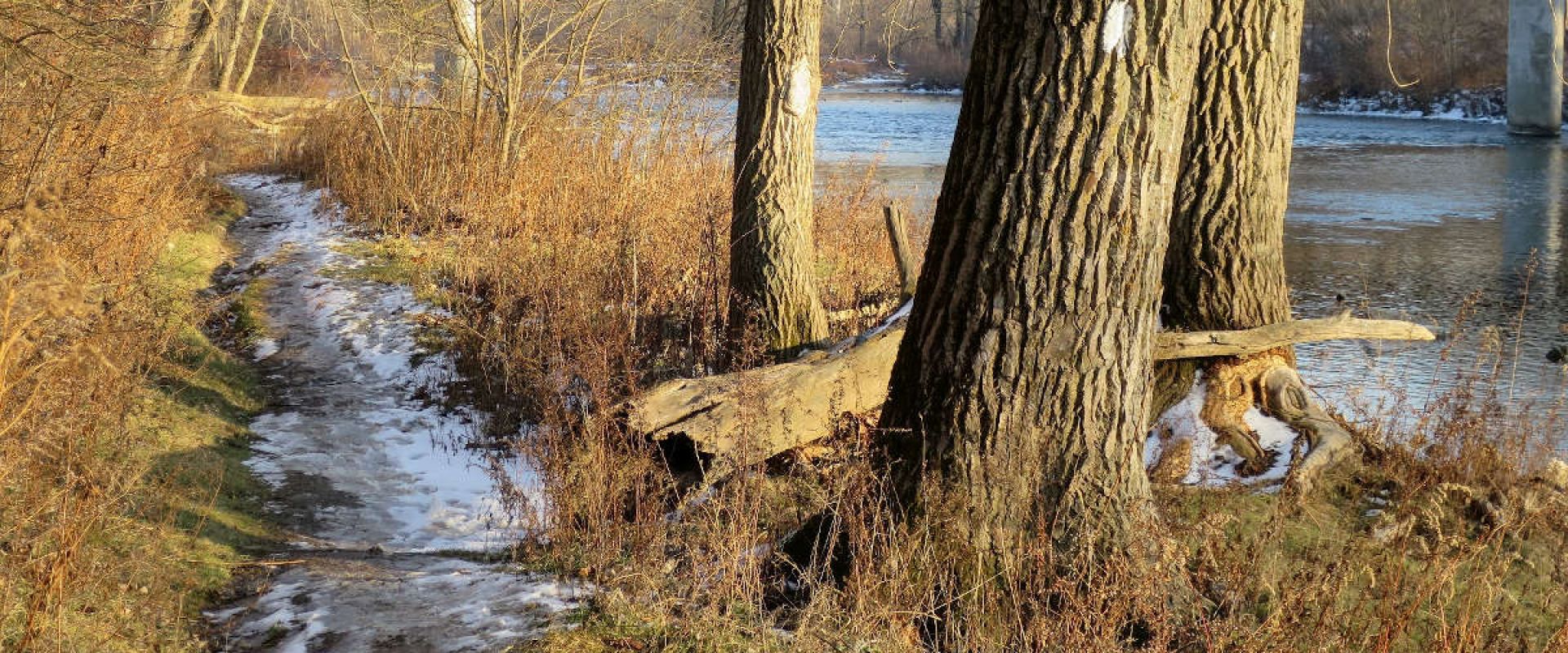 The Thames Valley Trails is a footpath that travels along the Thames River.