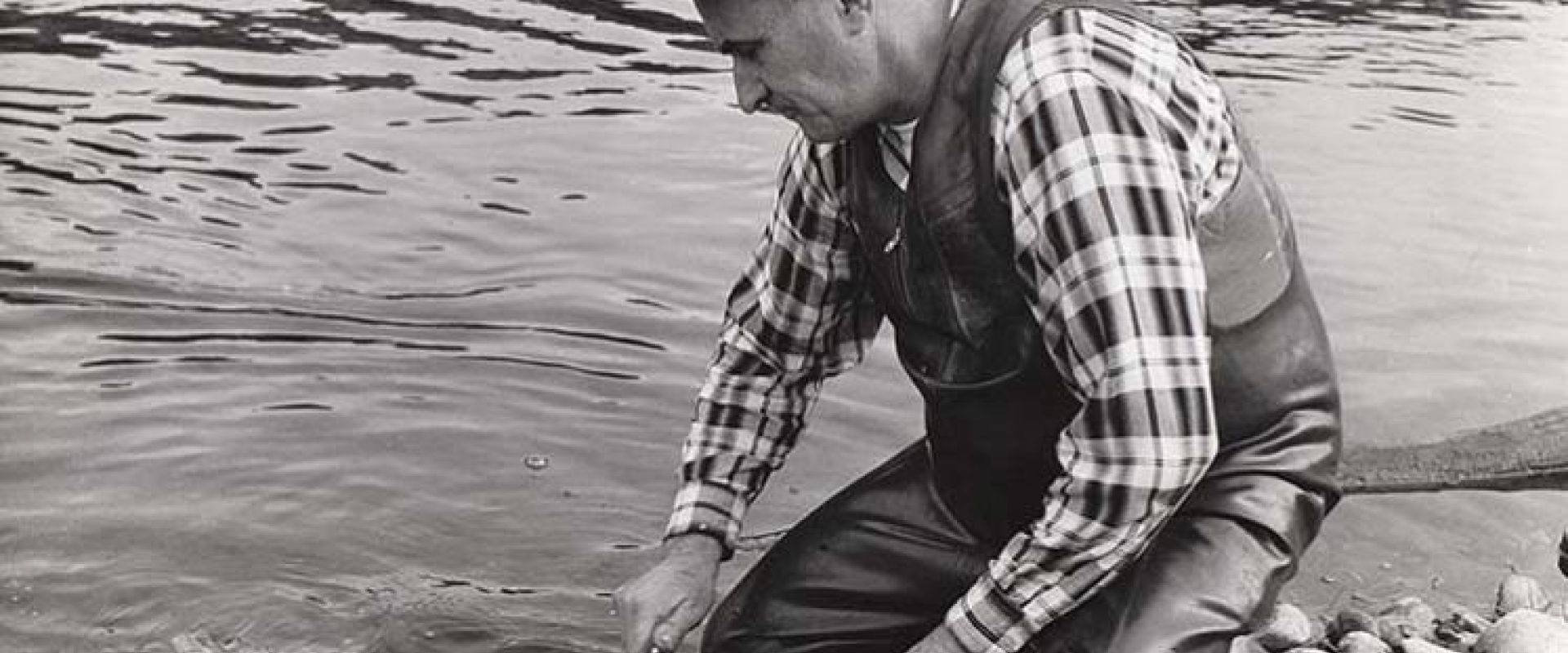 An black and white photo from an archive shows a man filleting a salmon caught in the Margaree River.